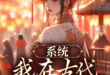 系统：我在古代带家族起飞免费阅读(秦韵王霁)小说免费读最新章节-神奇文学