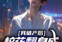 我破产后，校花翻身成总裁要养我？（主角陈述苏晴晚）完结版免费阅读-神奇文学