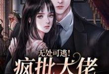 无处可逃！疯批大佬强制爱（姜亦乔）最新章节免费在线阅读-神奇文学