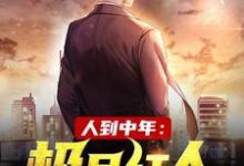 人到中年:极品红人无弹窗赵腾金露儿最新章节列表-神奇文学