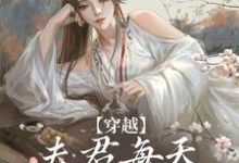 穿越:夫君每天都在争风吃醋(沈夏多夫)最新章节免费阅读-神奇文学