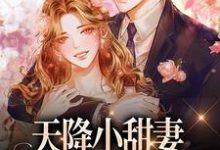 天降小甜妻:偏执大佬抱着哄无弹窗徐蓁沈凌风最新章节列表-神奇文学