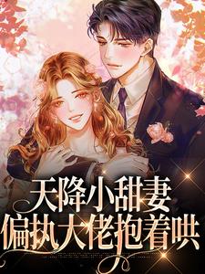 天降小甜妻：偏执大佬抱着哄无弹窗徐蓁沈凌风最新章节列表