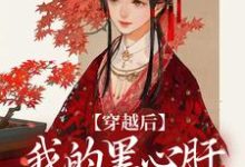 穿越后,我的黑心肝相公太撩人热门小说(李希赵承泽)在线阅读无弹窗-神奇文学