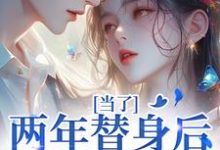 当了两年替身后,我跑路了(主角时柒陆淮年)完结版免费阅读-神奇文学