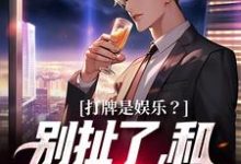 打牌是娱乐？别扯了，和打仗差不多无弹窗高林赵桂菊最新章节列表-神奇文学