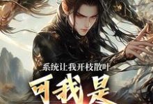 系统让我开枝散叶，可我是太监啊？（林辰程平安）最新章节免费阅读-神奇文学