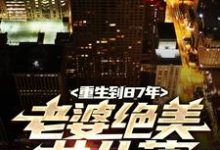 重生到87年,老婆绝美女儿萌热门小说(陆浩苏敏)在线阅读无弹窗-神奇文学