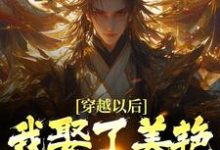 穿越以后,我娶了美艳宗主当老婆(貂长聚柳漓烟)最新章节免费阅读-神奇文学
