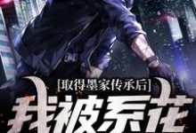 取得墨家传承后,我被系花盯上了小说最新章节在哪里可以免费看-神奇文学