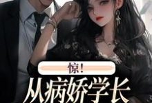 叶寒向暖最新章节惊！从病娇学长身边逃跑失败了免费阅读-神奇文学