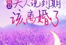 婚情几许:陆总,夫人说到期该离婚了完结版姜瓷陆禹东免费阅读大结局-神奇文学