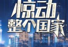 我一通电话，惊动整个国家小说最新章节在哪里可以免费看-神奇文学
