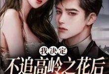 我决定不追高岭之花后,他急了精彩章节阅读(樊璐陆斯钦)免费阅读大结局-神奇文学