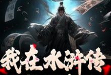 我在水浒传里收拢好汉完结版王伦免费阅读大结局-神奇文学