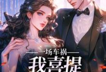 陈芸赵乾志在线阅读，一场车祸，我喜提妻女一双？小说完结版章节-神奇文学