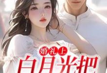 婚礼上,白月光把男友截胡了精彩章节阅读(沈矜陈槿之)免费阅读大结局-神奇文学