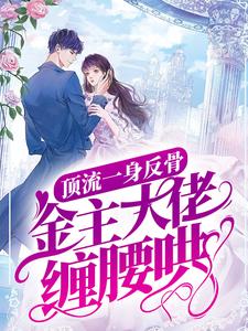 顶流一身反骨，金主大佬缠腰哄（向暖沈宴时）最新章节免费阅读