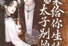 主人公是许锦意的小说系统:太子别怕,我来给你生娃了免费阅读-神奇文学