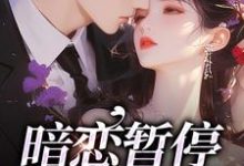 精彩章节阅读暗恋暂停，开始恋爱(宋霜序贺庭洲)免费小说在线看-神奇文学