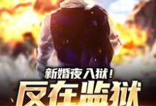 小说新婚夜入狱！反在监狱成大佬（秦风林婉儿）最新章节在哪看-神奇文学