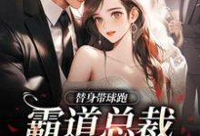 替身带球跑，霸道总裁深陷火葬场无弹窗苏溪傅晏辞最新章节列表-神奇文学
