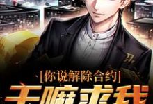 你说解除合约，干嘛求我回去无弹窗陆洲最新章节列表-神奇文学