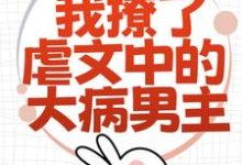 为了活命，我撩了虐文中的大病男主小说最新章节在哪里可以免费看-神奇文学