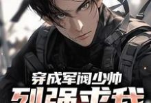 穿成军阀少帅，列强求我别扩军了无弹窗秦林最新章节列表-神奇文学