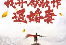 精彩章节阅读穿到修仙界，我开局敲诈退婚妻(顾风)免费小说在线看-神奇文学