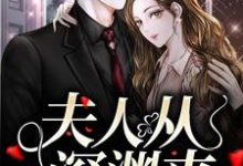 跪求主角是简茵熹傅霆灏的小说书名叫什么-神奇文学