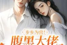 方雒仪周继燊在线阅读，步步为营！腹黑大佬撩宠野玫瑰小说完结版章节-神奇文学