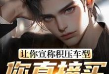 主角是苏晨的小说让你宣称积压车型,你直接买脱销?在哪免费看-神奇文学