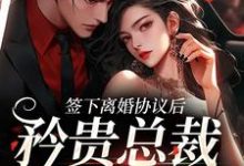 小说签下离婚协议后，矜贵总裁红眼失控（时知漾沈京墨）最新章节在哪看-神奇文学