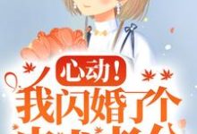主人公是楼阮的小说心动!我闪婚了个忠犬老公免费阅读-神奇文学