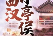 西汉小亭侯免费阅读(赵启明)小说免费读最新章节-神奇文学