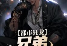 亲哥出狱,带我起飞有错吗精彩章节在线免费阅读(宋渔向影)-神奇文学