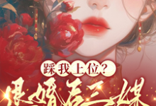 踩我上位?退婚后三媒六聘嫁他哥热门小说(阮月见萧樾)在线阅读无弹窗-神奇文学