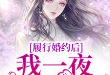 完结版履行婚约后,我一夜变首富在哪免费看,江云初商司爵小说在线阅读-神奇文学