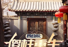 主人公是傻柱秦淮茹的小说四合院:傻柱重生,收养破局免费阅读-神奇文学
