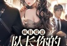疯狂爱意：队长你的媳妇跑路啦精彩章节在线免费阅读（秦凛杨婂）-神奇文学