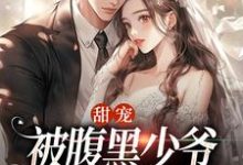 甜宠：被腹黑少爷藏起来的娇宝免费阅读，沈初棠时承煜大结局无弹窗-神奇文学