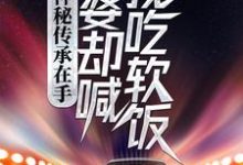 神秘传承在手,老婆却喊我吃软饭小说最新章节在哪里可以免费看-神奇文学