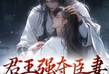 小说君王强夺臣妻,只为惊鸿一面主角陆妧夕尉迟璟免费阅读-神奇文学