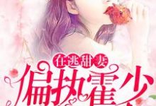 在逃甜妻：偏执霍少放肆宠最新章节在逃甜妻：偏执霍少放肆宠在线阅读-神奇文学