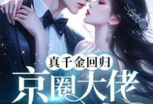 真千金回归,京圈大佬跪地宠完结版林漫免费阅读大结局-神奇文学