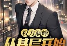 主角是林漫的小说权力巅峰：从基层开始步步高升在哪免费看-神奇文学