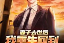 吴为小说的结局在哪可以看，妻子去世后，我重生回到高考那年免费阅读完结版-神奇文学