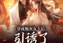 小说被逼婚言情文男主后,穿越女她杀疯了(沈毓灵权明赫)最新章节在哪看-神奇文学