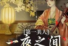 主角是沐青婼楚云珩的小说第一美人,一夜之间沦为笑柄在哪免费看-神奇文学